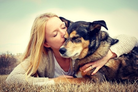 Ormekur til hund ⋆ Ormekur til hund Her er de bedste af slagsen!